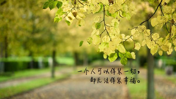 非主流空间文字图片爱情 我吻过他的唇却不是他爱的人