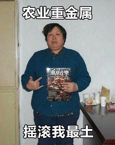 中国大妈魔性微信表情包