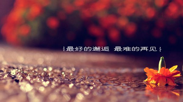 非主流空间文字图片爱情 我吻过他的唇却不是他爱的人