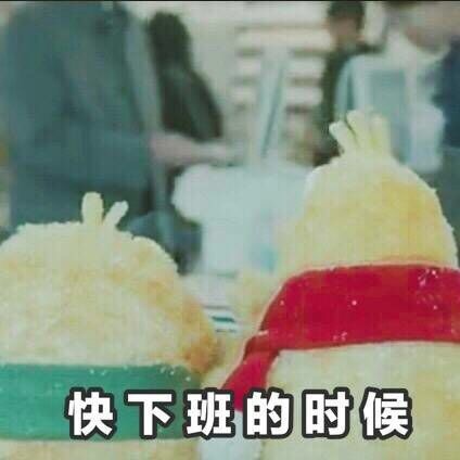 约我呀小黄鸡微信表情包