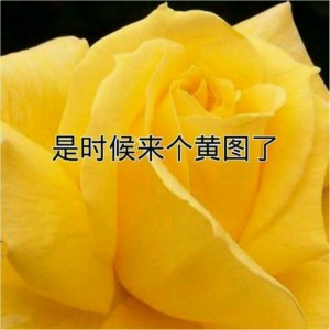 黄图表情包