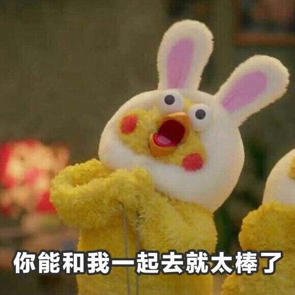 约我呀小黄鸡微信表情包