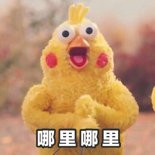 约我呀小黄鸡微信表情包
