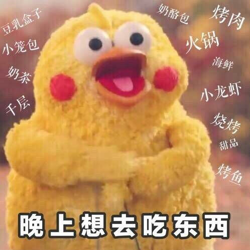 约我呀小黄鸡微信表情包