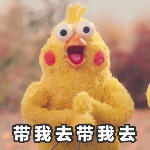 约我呀小黄鸡微信表情包