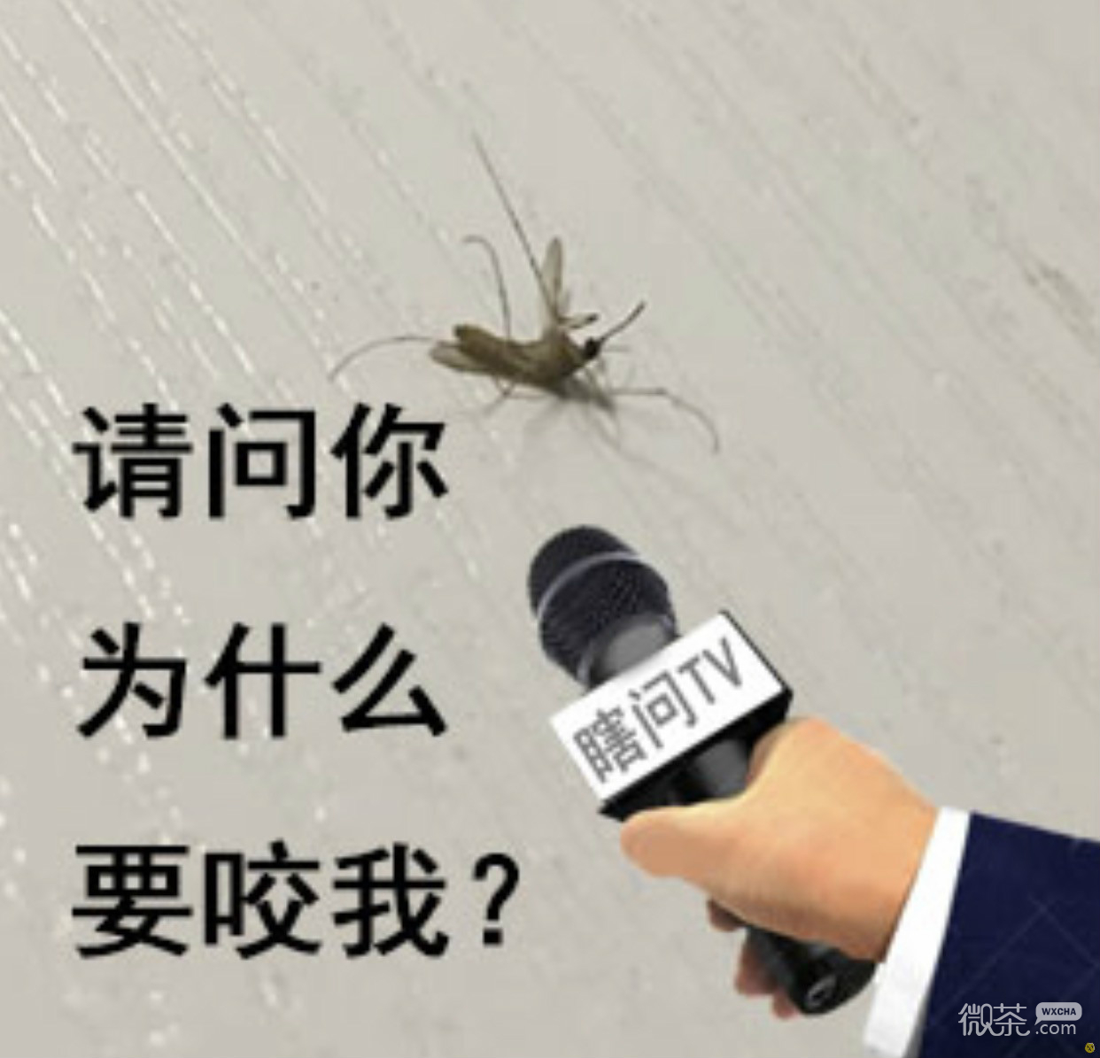 近期表情包第五期