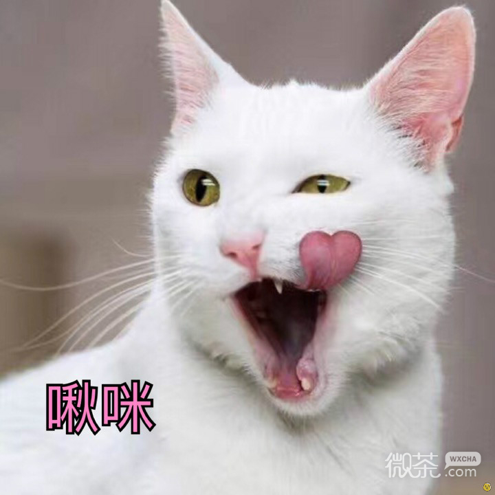 近期表情包第五期