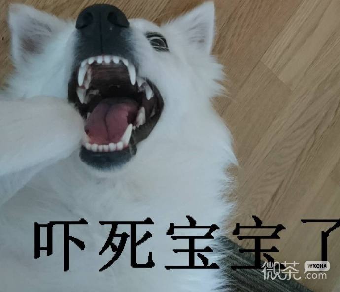 厉害了，你的牙表情包