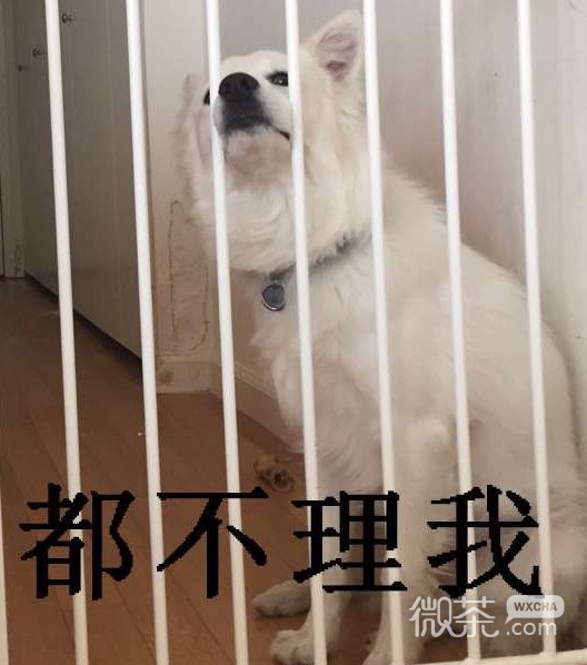 厉害了，你的牙表情包