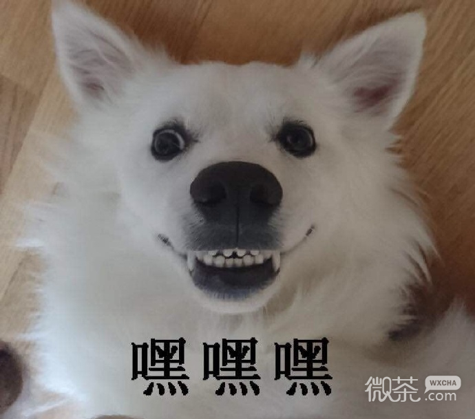 厉害了，你的牙表情包