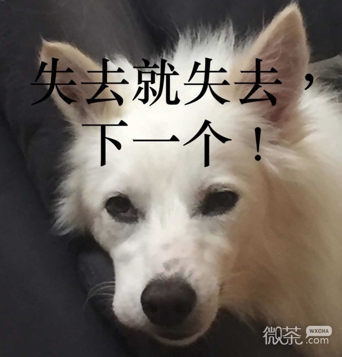 厉害了，你的牙表情包