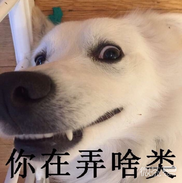 厉害了，你的牙表情包