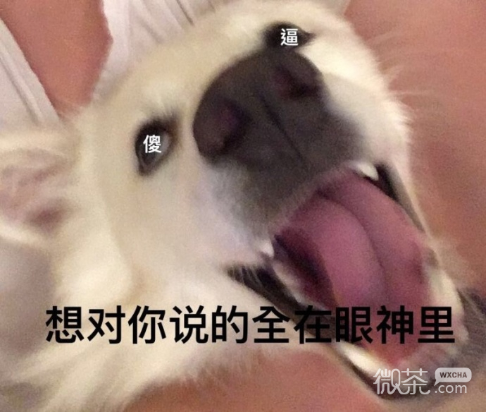 厉害了，你的牙表情包
