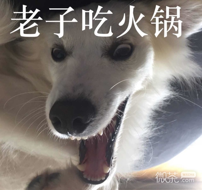 厉害了，你的牙表情包