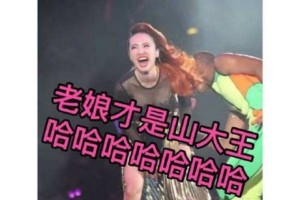 Jolin蔡依林表情包