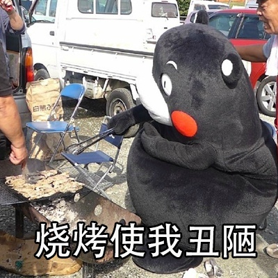 变丑的原因表情包