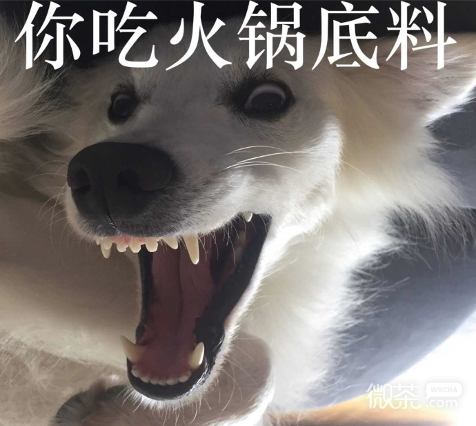 厉害了，你的牙表情包