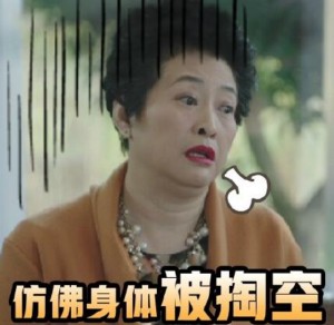 我的前半生动态表情包