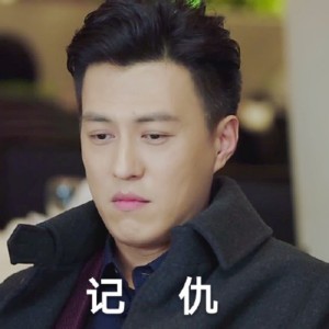 我的前半生动态表情包