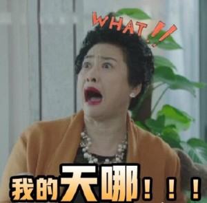 我的前半生动态表情包