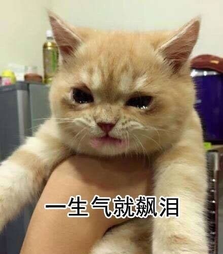 真是这样啊微信表情包