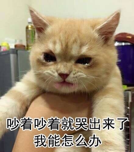 真是这样啊微信表情包