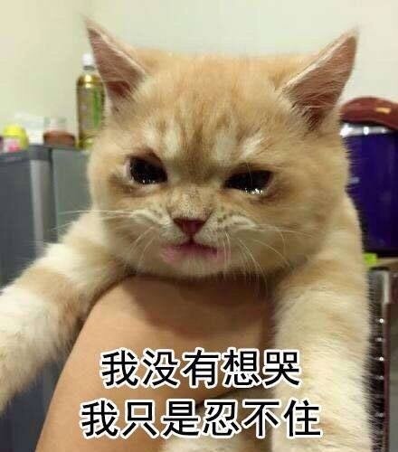真是这样啊微信表情包
