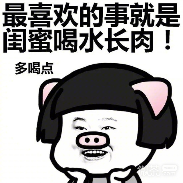 真正的友谊蘑菇头微信表情包