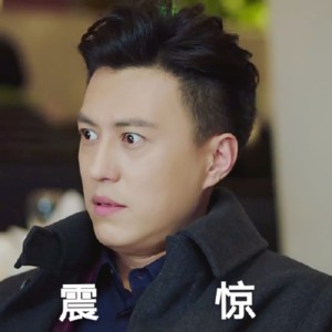 我的前半生动态表情包