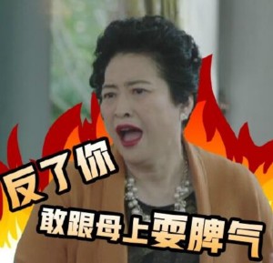 我的前半生动态表情包