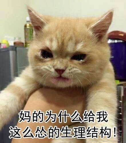 真是这样啊微信表情包