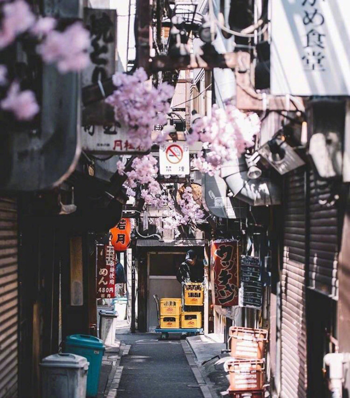 日本东京街景素材图片