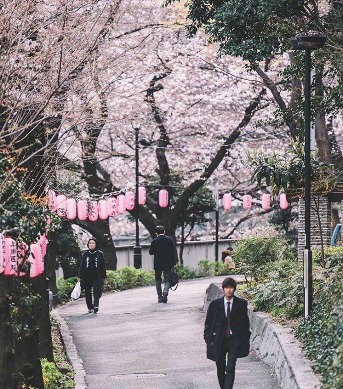 日本东京街景素材图片