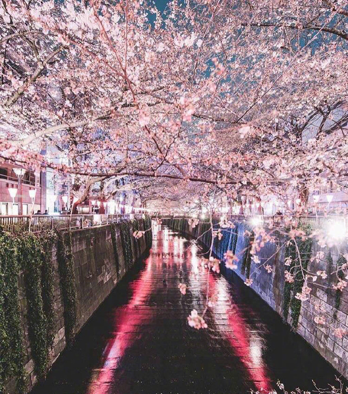 日本东京街景素材图片