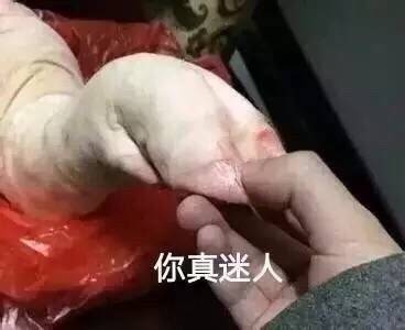 可爱的猪猪微信表情包