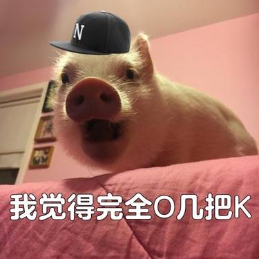 可爱的猪猪微信表情包