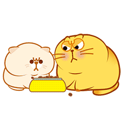 开心猫夏日微信表情包第9弹