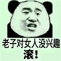 熊猫头注孤生系列搞笑表情包
