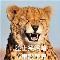 萌宠敲里吗系列微信带字表情包
