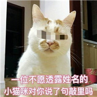 萌宠敲里吗系列微信带字表情包