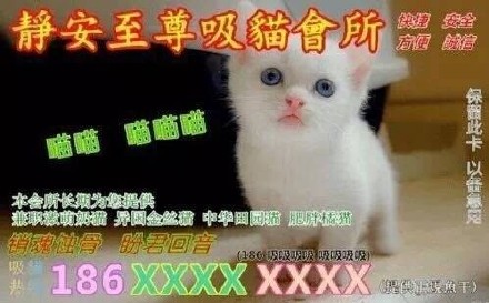 微信群斗图专用微信表情包