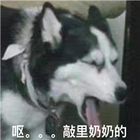 萌宠敲里吗系列微信带字表情包