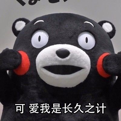 贱贱的熊本熊微信恶搞文字表情包