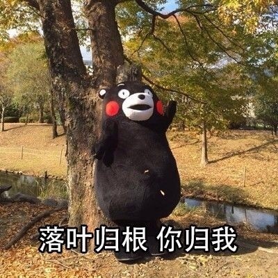 贱贱的熊本熊微信恶搞文字表情包