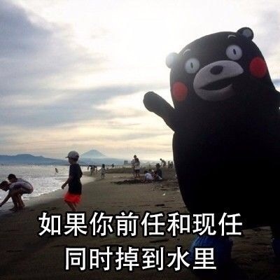 贱贱的熊本熊微信恶搞文字表情包