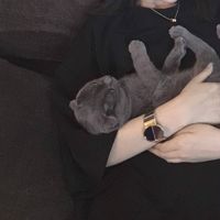 甜美小清新风格微信女生头像