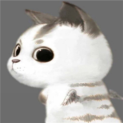 柔弱可爱喵星人微信情头下载