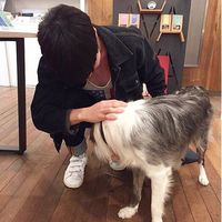帅气俏皮男生微信头像合集