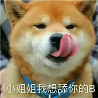 可爱淫荡的狗狗微信带字表情包