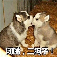 可爱淫荡的狗狗微信带字表情包